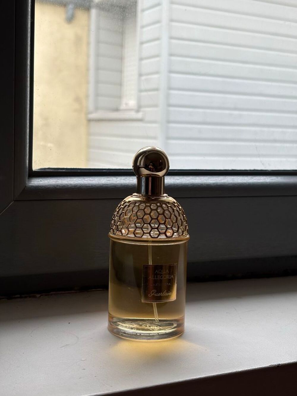 Guerlain Aqua Allegoria Jasminora - Rare, neuf, 75 ML 