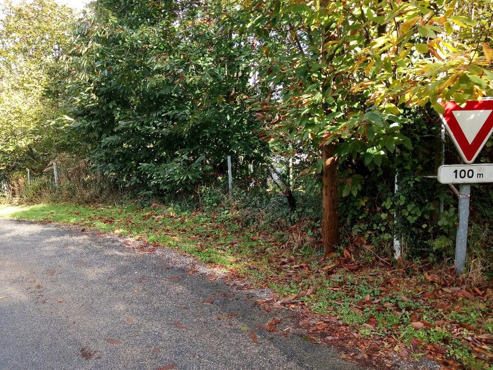 Vente Terrain Terrain 650 m2 proche Quimper Guengat