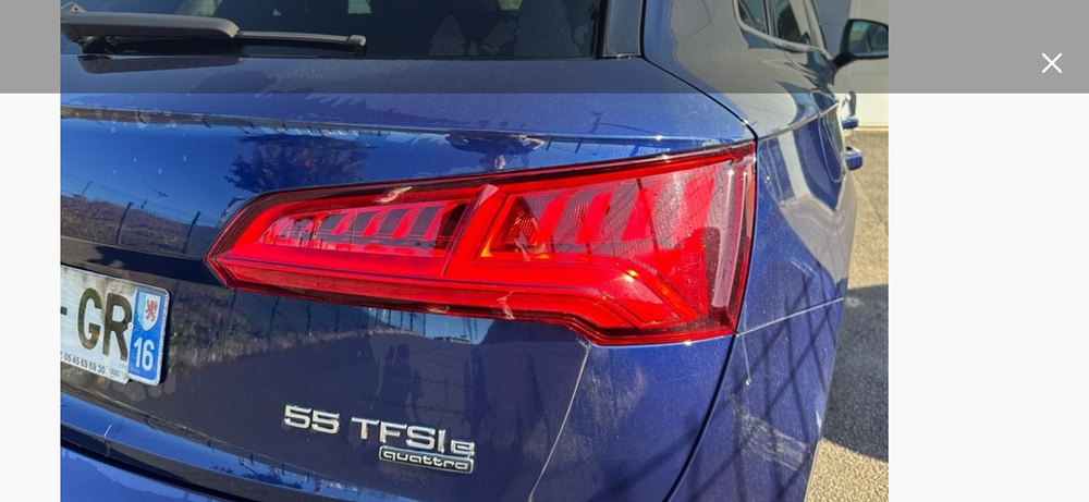 Q5 55 TFSI e 367 S tronic 7 Quattro S line 2019 occasion 37600 Beaulieu-l&egrave;s-Loches