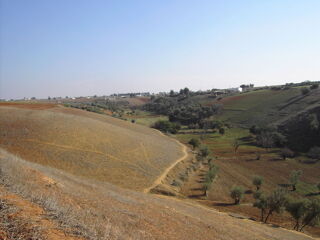  Terrain  vendre 4000 m Sidi abderrazzak khzazna, maroc