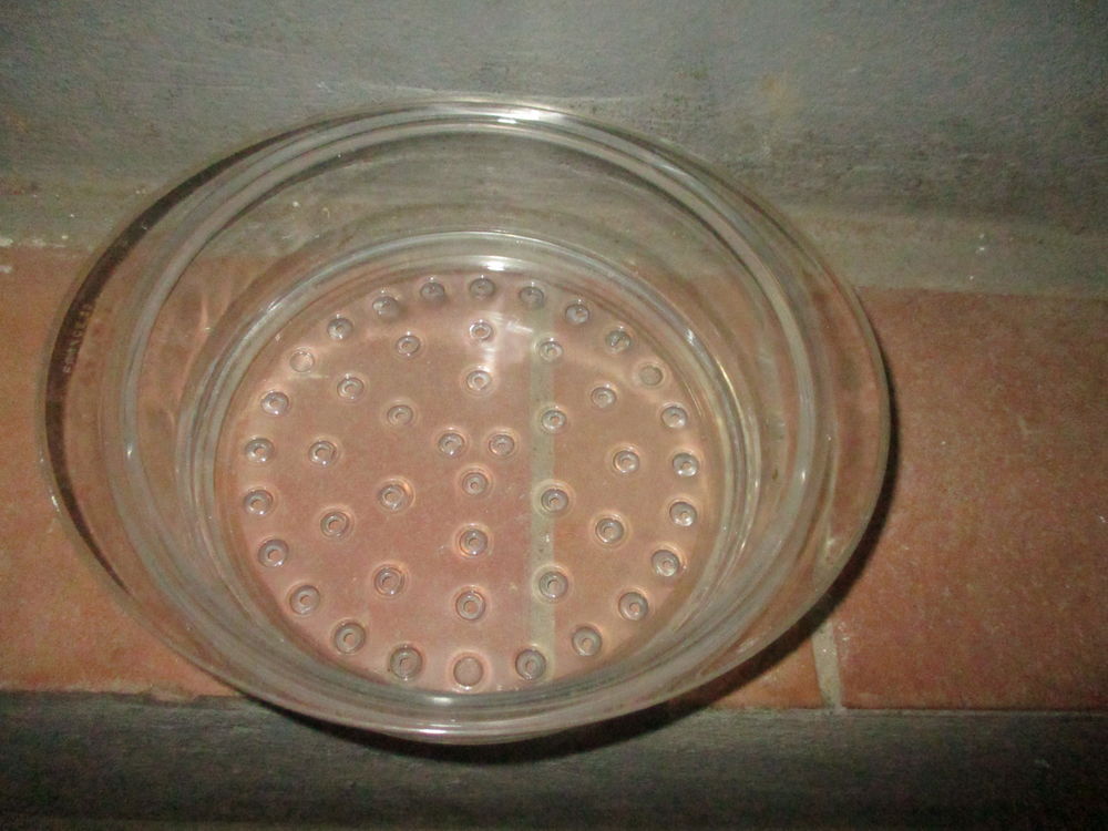 cloche en verre avec trous d'a&eacute;ration 23 cm x 7,5 cm Décoration