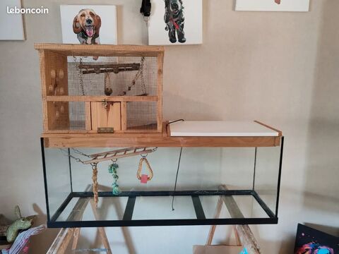 Terrarium rongeur (souris/hamster) 100 49230 Saint-germain-sur-moine