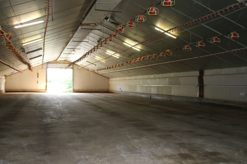   occasion 85410 Thouarsais-Bouildroux