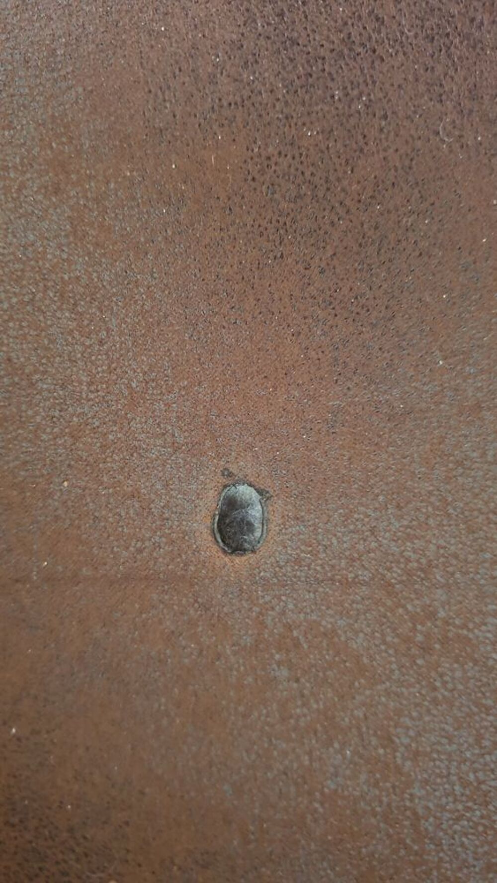 Canap&eacute; qui vient de Maison du monde Meubles