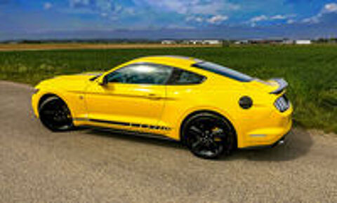 Mustang Fastback 2.3 EcoBoost 317 2016 occasion 26800 Portes-l&egrave;s-Valence