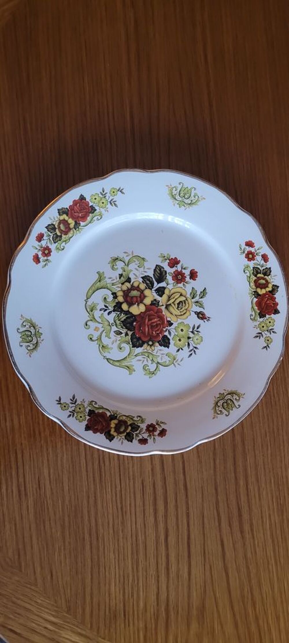 Assiettes plates porcelaine DIGOIN-SARREGUEMINES 