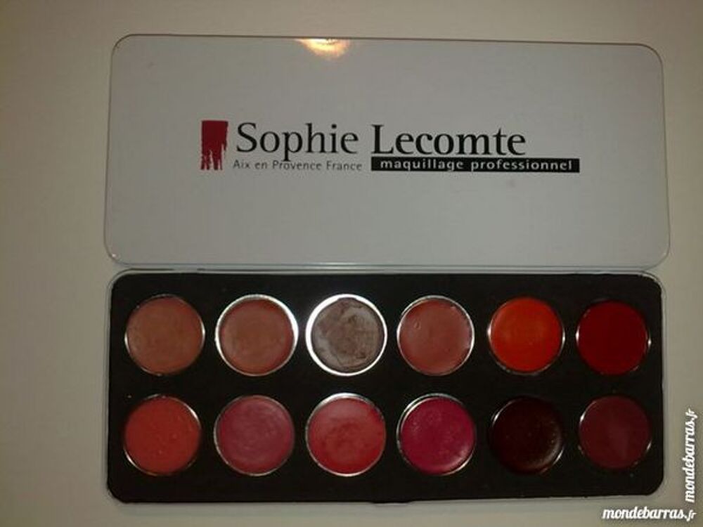 Maquillage professionnel SOPHIE LECOMTE pigments 