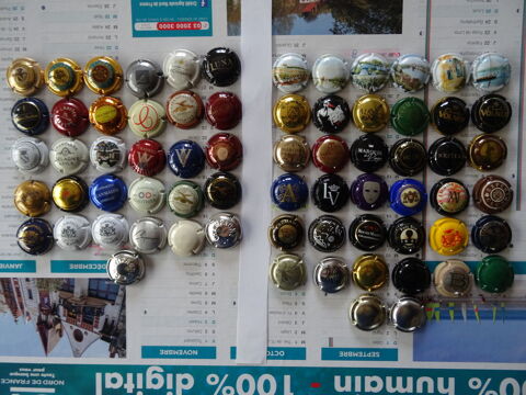 lots de capsules de champagne et mousseux 5 Merville (59)