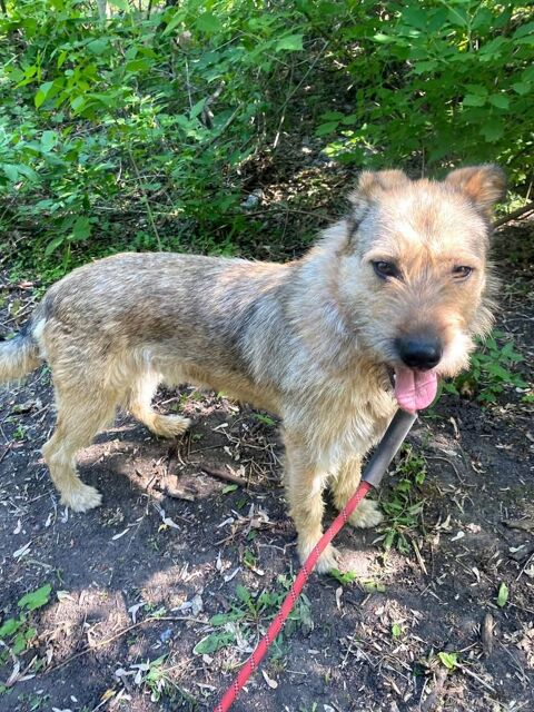 BOSS      ACTUELLEMENT   AU REFUGE EN UKRAINE 0 75018 Paris