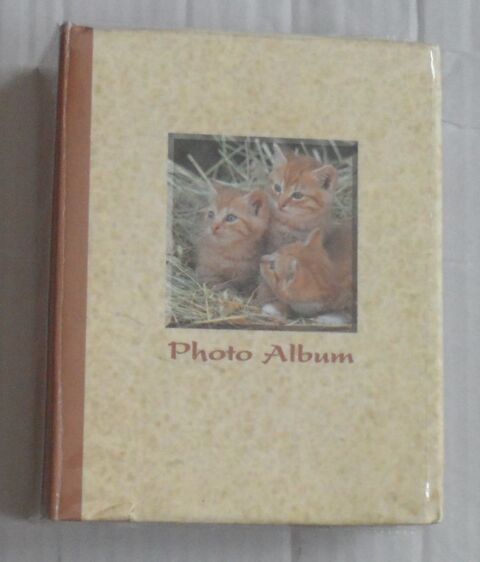 Album photos chats 1 Valenciennes (59)