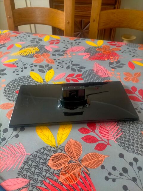 Pied tv 10 Albert (80)