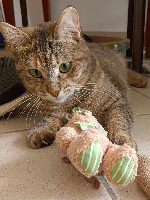 HESTIA 1 07700 Saint-rem�ze