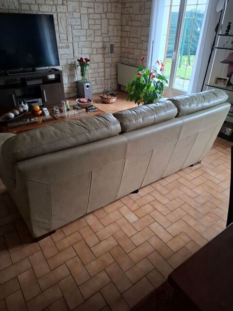 Canap� cuir 3 places 50 Blois (41)