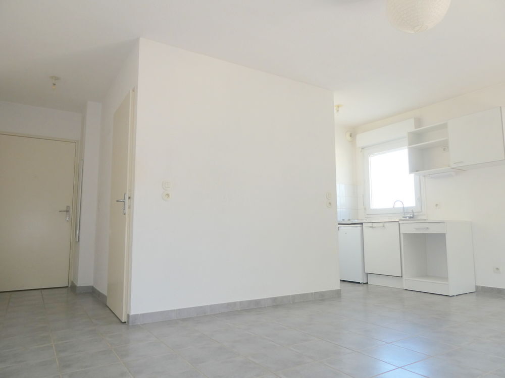 Location Appartement GRAND studio de 28 m2 terrasse parking s/sol Facultés Paul Valéry Sciences TRAM Montpellier