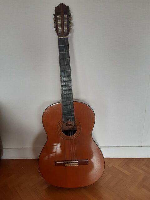 Guitare classique 30 Avrillé (49)
