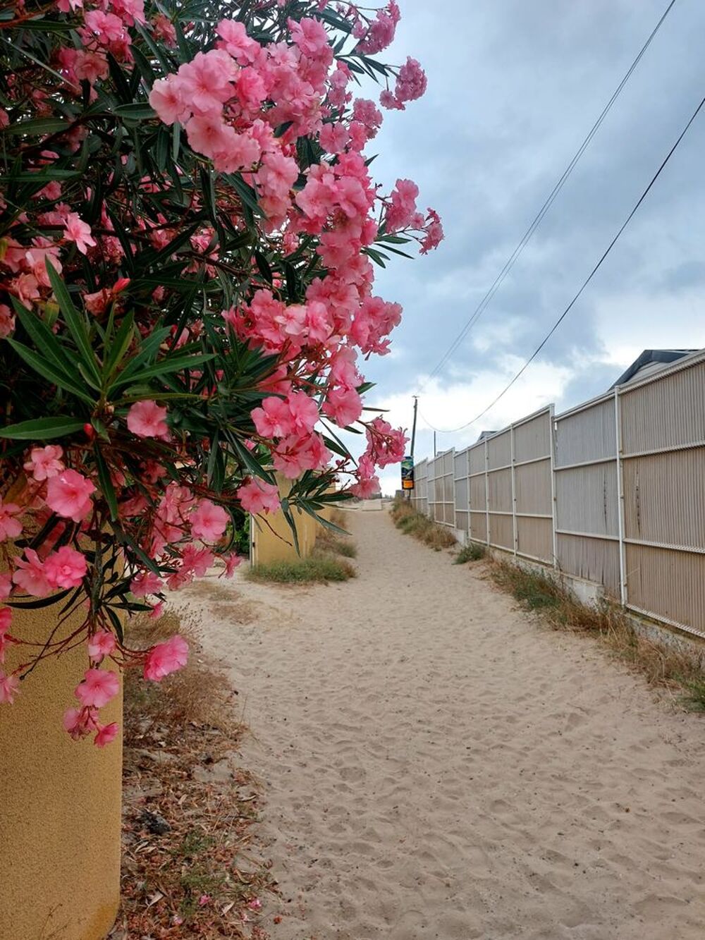   OUVERTURE DES RESERVATIONS 2026 Languedoc-Roussillon, Marseillan Plage (34340)