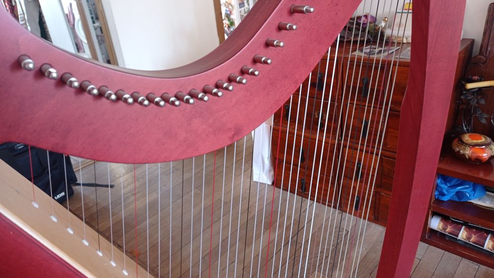 HARPE SALVI TITAN - 38 cordes + Housse de transport Instruments de musique