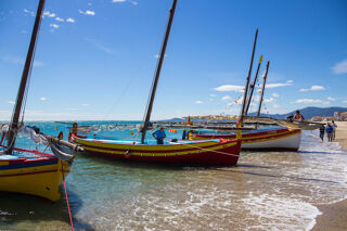 Location  Appartement 