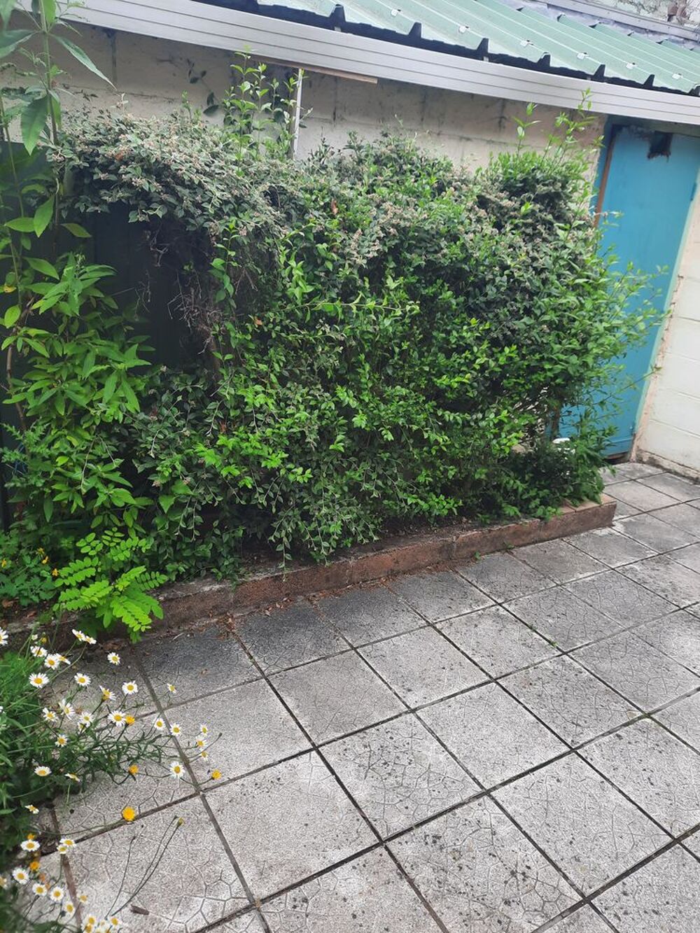 Vente Maison maison large flamande bien située Roubaix