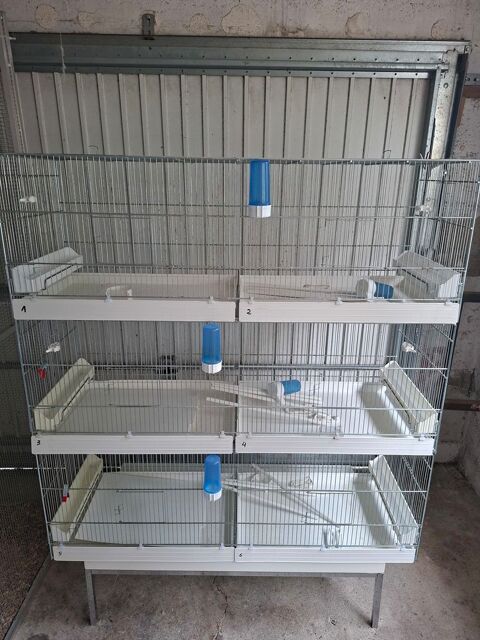 Cage de reproduction 60 02100 Saint-quentin