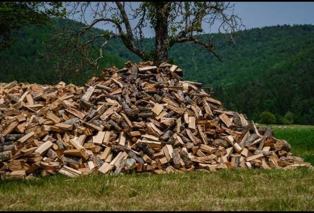 &eth;Ÿ"&yen; BOIS DE CHAUFFAGE €" Ch&ecirc;ne, H&ecirc;tre, Charme €" Livraison &agrave; domicile Bricolage