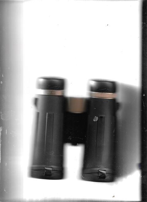 PAIRE DE JUMELLES NEUF 105 Saint-Denis-en-Val (45)