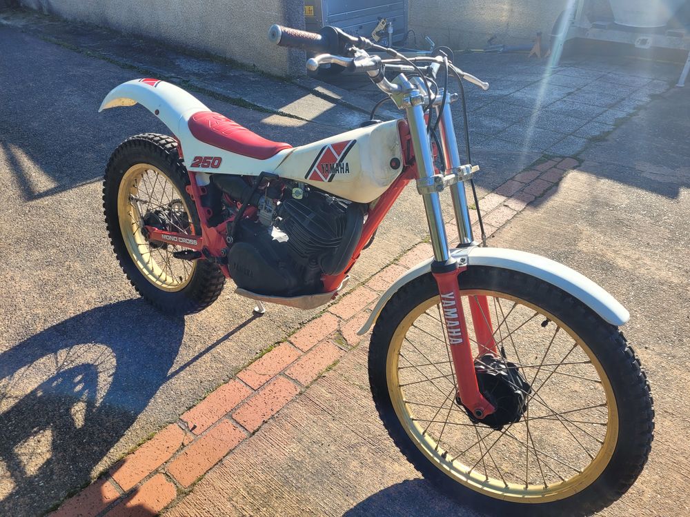 YAMAHA 1987 occasion 31120 Roquettes