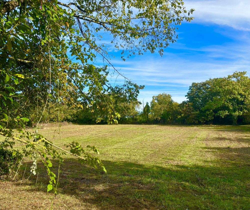 Vente Terrain Terrain viabilisé de 320m² à Landrais Landrais