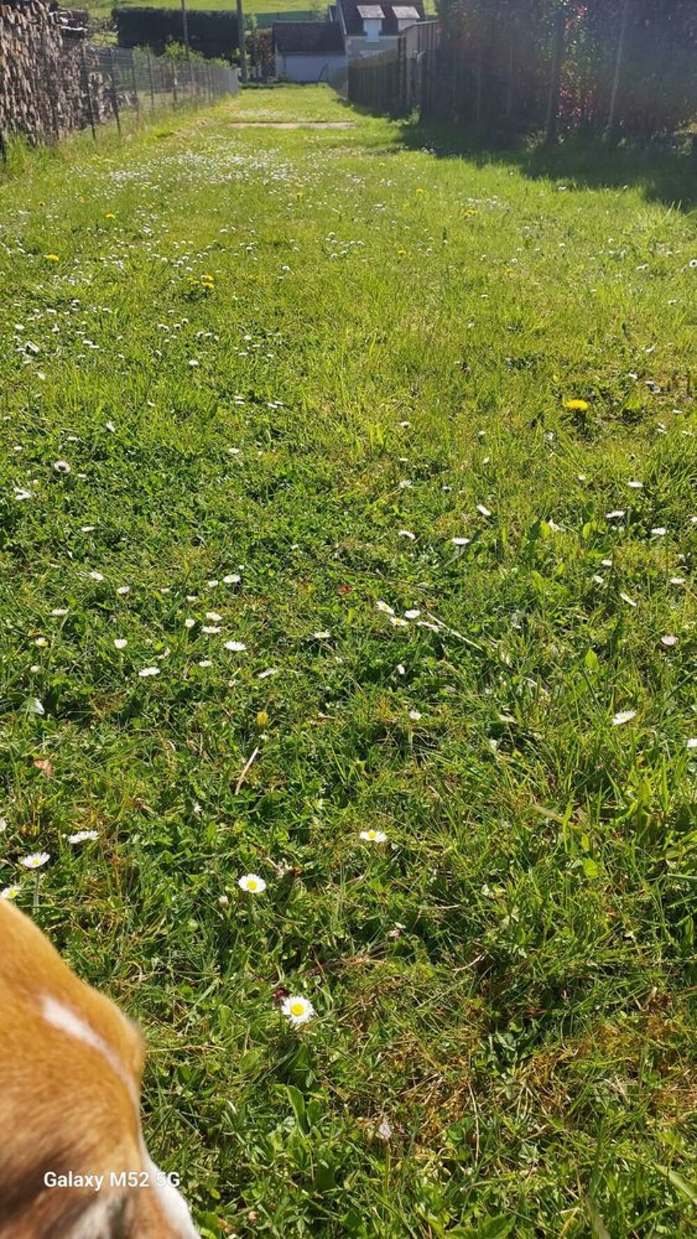 Vente Terrain Terrain constructible Loches