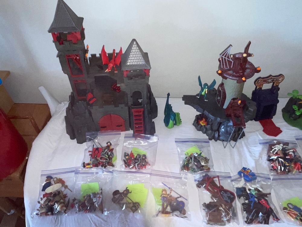 Lot playmobil Jeux / jouets