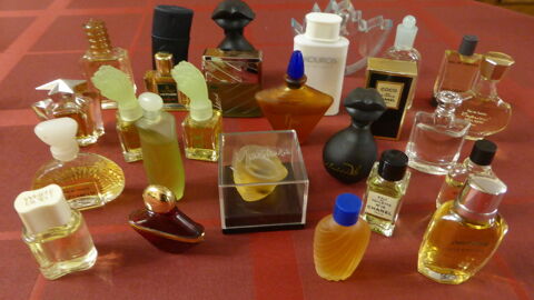 Miniatures de parfums 0 Thorigny-sur-Marne (77)