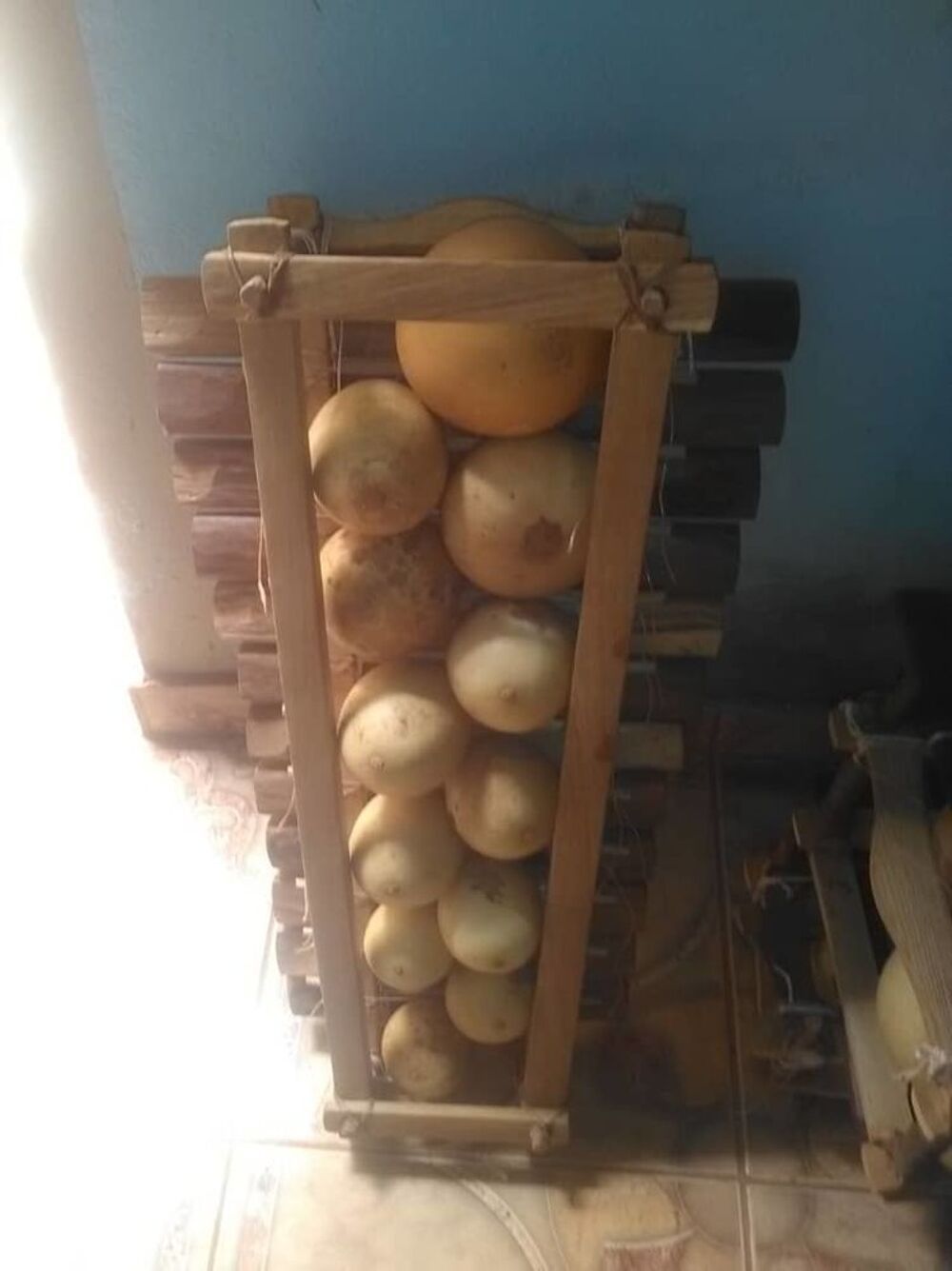 Des balafon professionnel 12 lames Instruments de musique