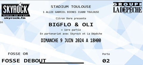 2 places de concert Bigflo et Oli 
Dimanche 9 juin 18:00 TFC 100 Toulouse (31)