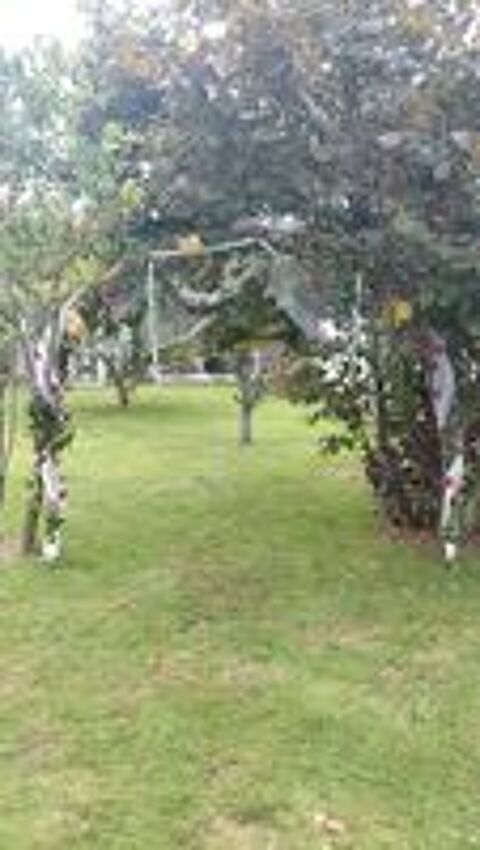   arche mariage 