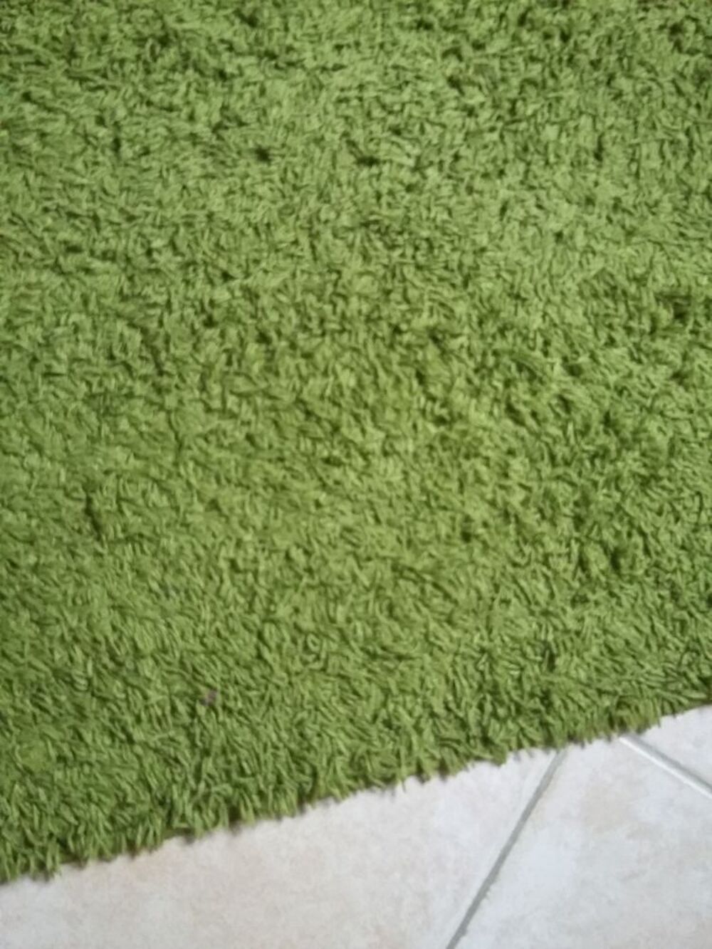 Tapis shaggy vert Décoration