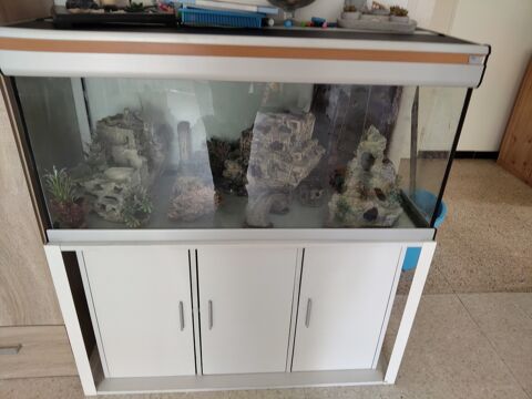 Aquarium avec meuble blanc Beaufort (39)