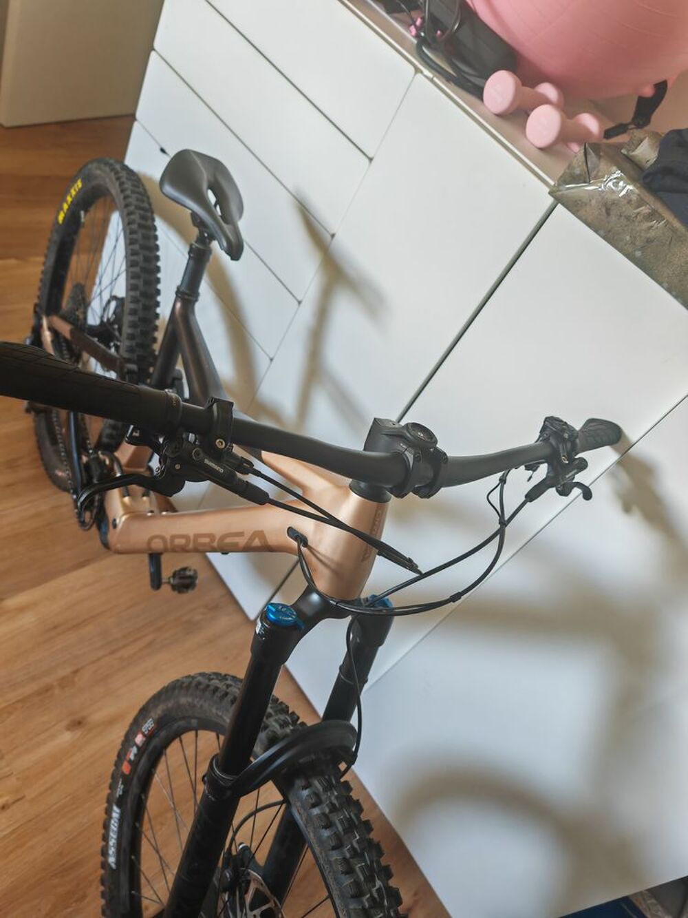 RISE H10 2023 Vélos