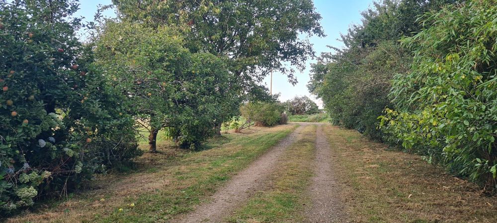 Vente Ferme Bretagne Finistère Saint-ségal