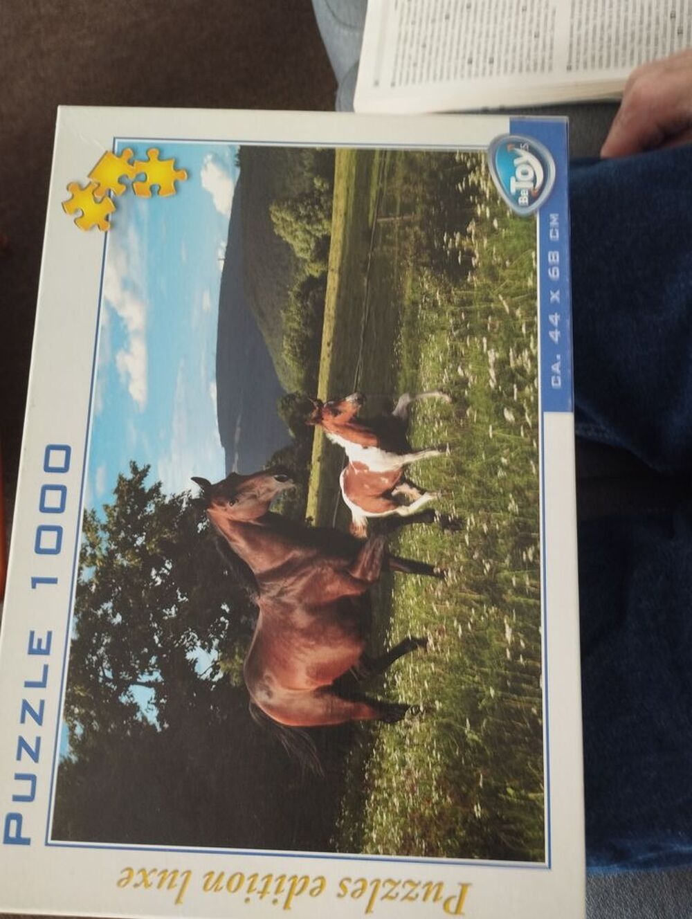 puzzle chevaux Jeux / jouets