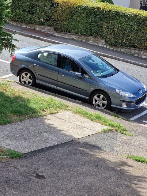 Peugeot 407 2.0e 16v Ex&eacute;cutive 2004 occasion Sarrebourg 57400
