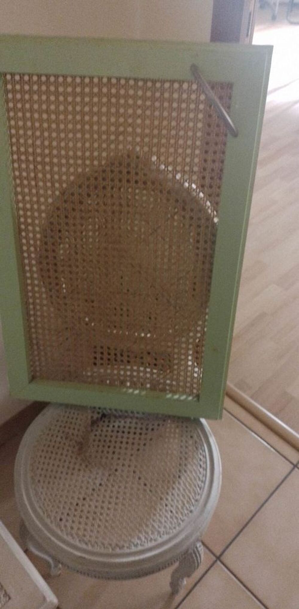 SALON A RENOVER Meubles
