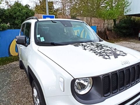 Jeep Renegade QUICKSILVER LIMITED EDITION 2019 occasion Cestas 33610