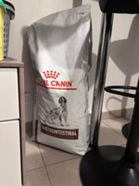   Royal canin gastrointestinal  