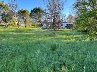  Terrain à vendre 585 m² Fronton