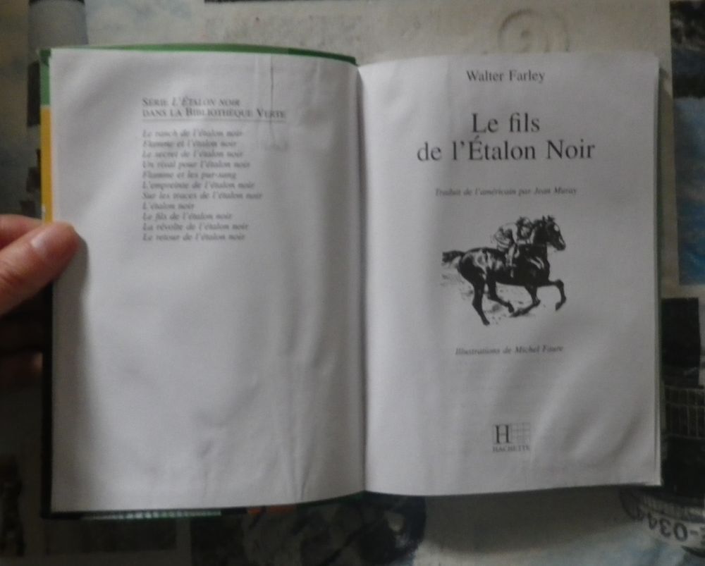 2 L'ETALON NOIR BIBLIOTHEQUE VERTE SOUPLE Livres et BD
