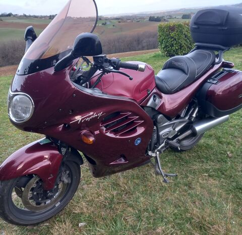 Moto TRIUMPH 1997 occasion Lombez 32220