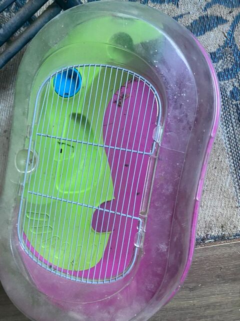 Cage plexi pour hamster souris 18 94800 Villejuif