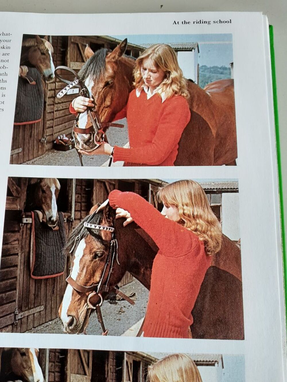 Livre anglais de chevaux Sports