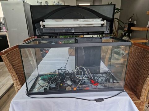 Aquarium +d�corations 70 Lampaul-Guimiliau (29)