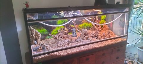 terrarium 350 Saint-Aun�s (34)